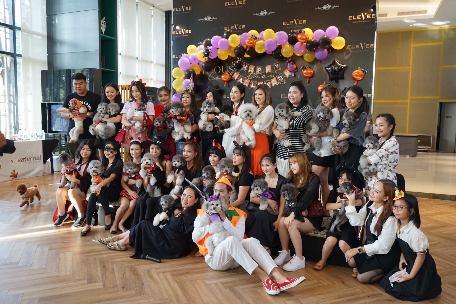 Silver Poodle's Halloween Party